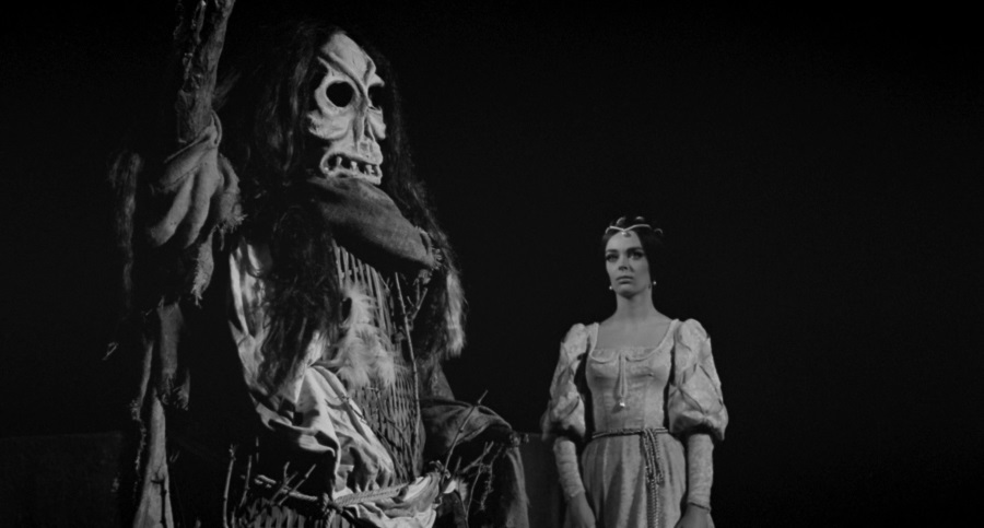 Videophiled: ‘Skeleton Twins,’ ‘This is Where I Leave You,’ ‘Turtles,’ and Barbara Steele in ‘The Long Hair of Death’